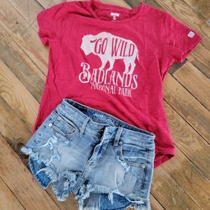 EUC American Eagle Outfitters shorts and tshirt